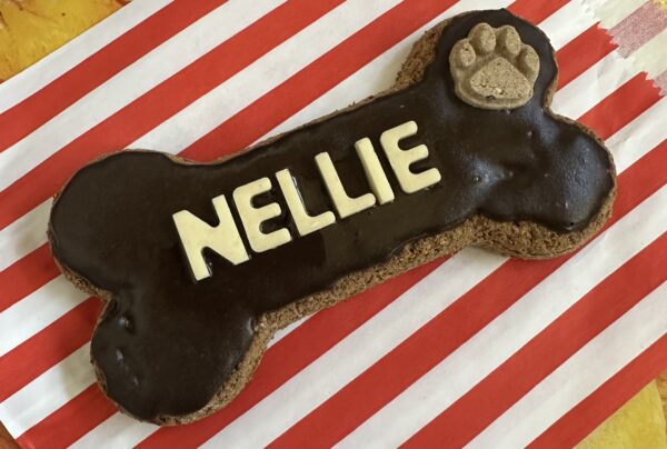 Personalised Bone Biscuit